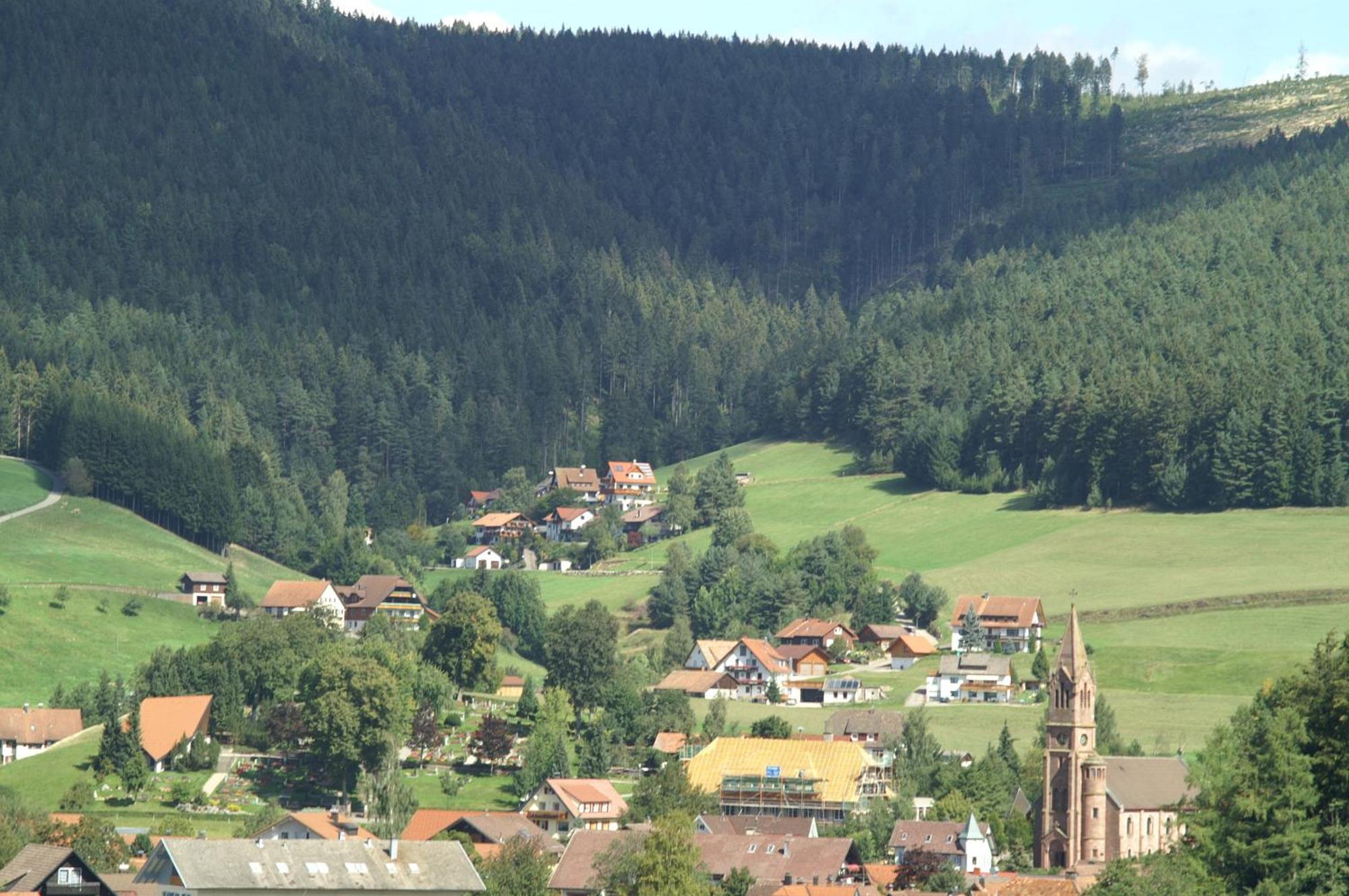 Hotel Lamm Baiersbronn Mitteltal Exterior foto